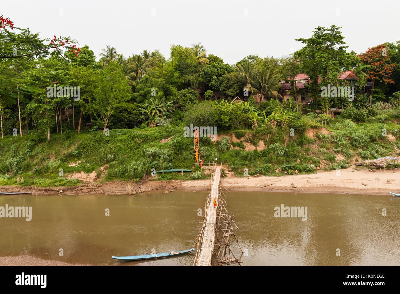Un gruppo di zafferano-placcati i monaci buddisti attraversare un bambù ponte sul fiume Nam Khan, Louand Prabang, Laos. Foto Stock