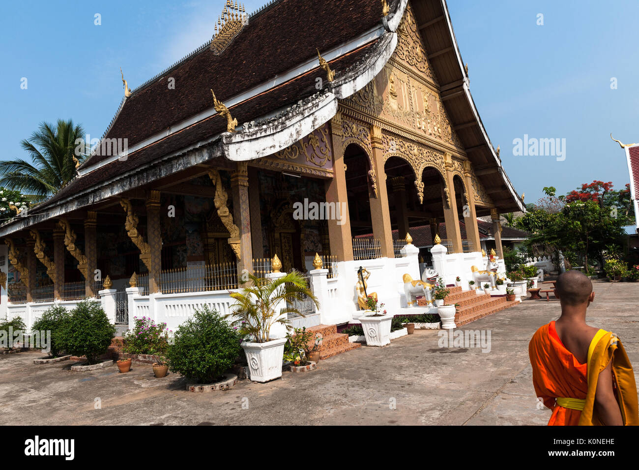 Un zafferano-placcati monaco buddista da passeggiate Wat Phonxay Sanasongkham, Luang Prabang, Laos. Foto Stock