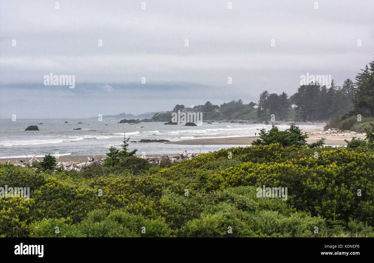 La costa meridionale vicino a brookings in oregon Foto Stock