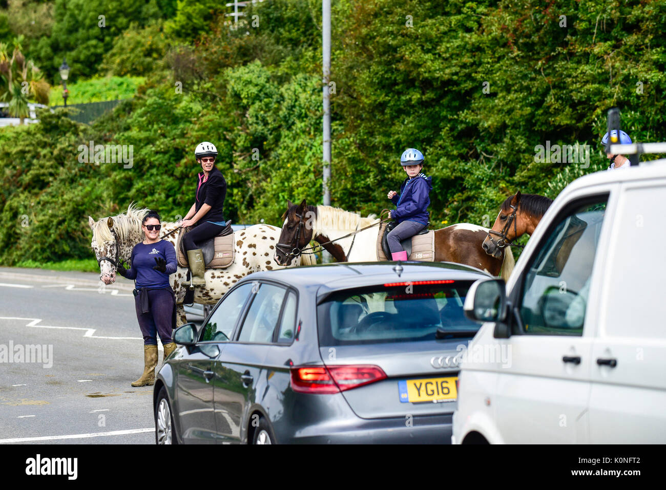 Piloti del cavallino tenendo alto il traffico prima di attraversare una strada a Newquay in Cornovaglia. Foto Stock