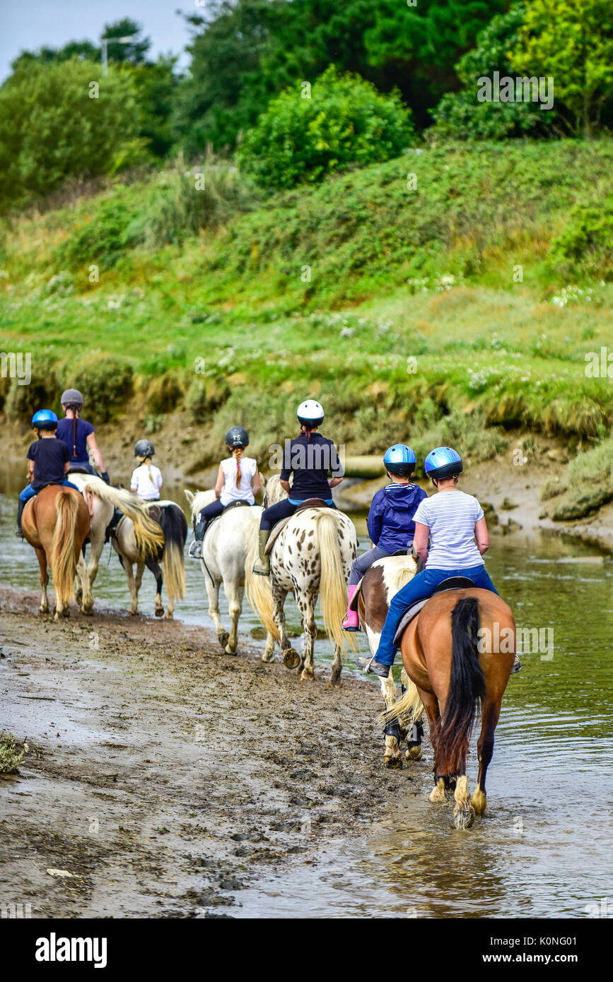 Percorsi per Pony lungo il fiume Gannel e estuario di marea a Newquay in Cornovaglia. Foto Stock