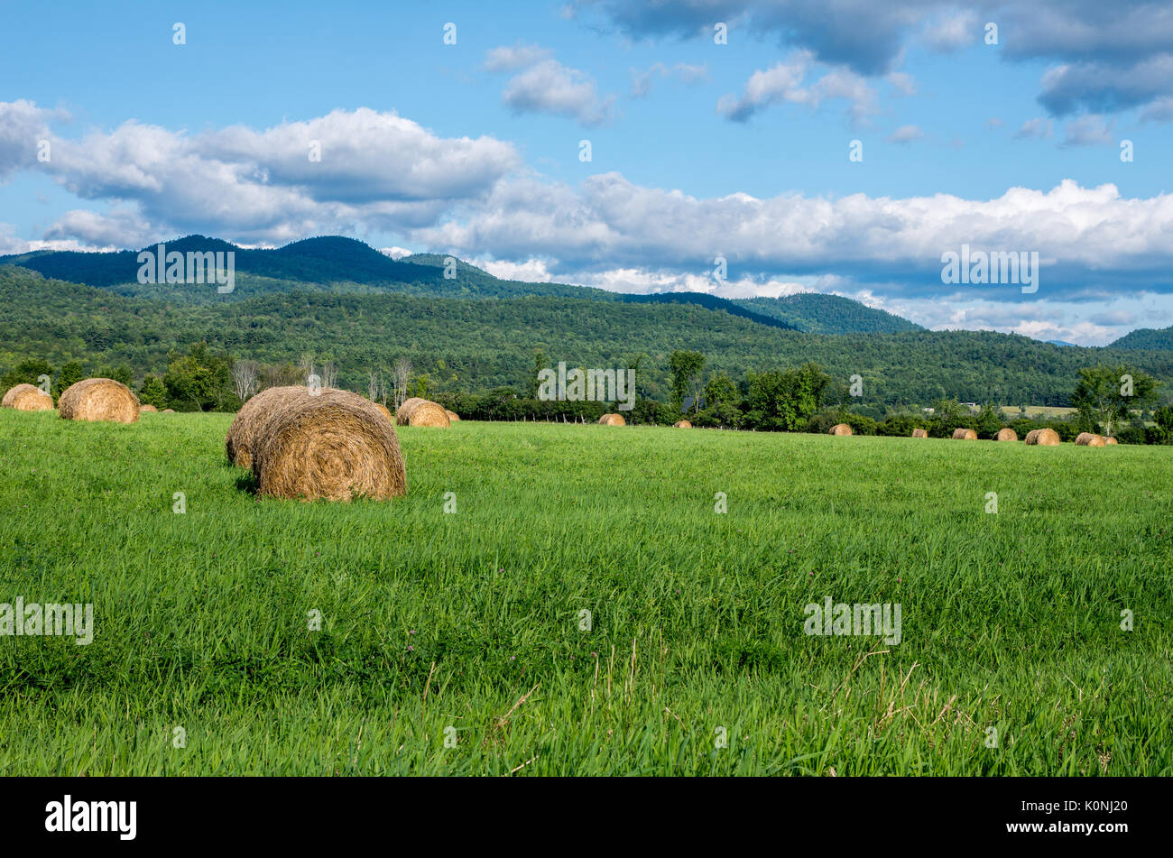 Round balle di fieno in un campo con le Montagne Adirondack in background e il cielo blu con alcune nuvole Foto Stock