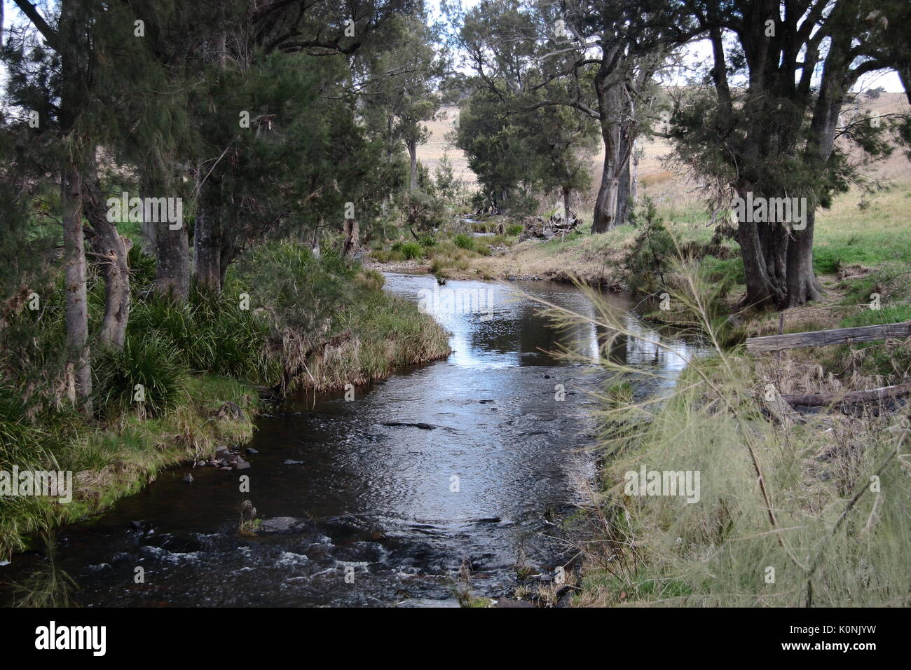 Un fresco ruscello si snoda attraverso terreni agricoli nei pressi di acque profonde NSW Foto Stock