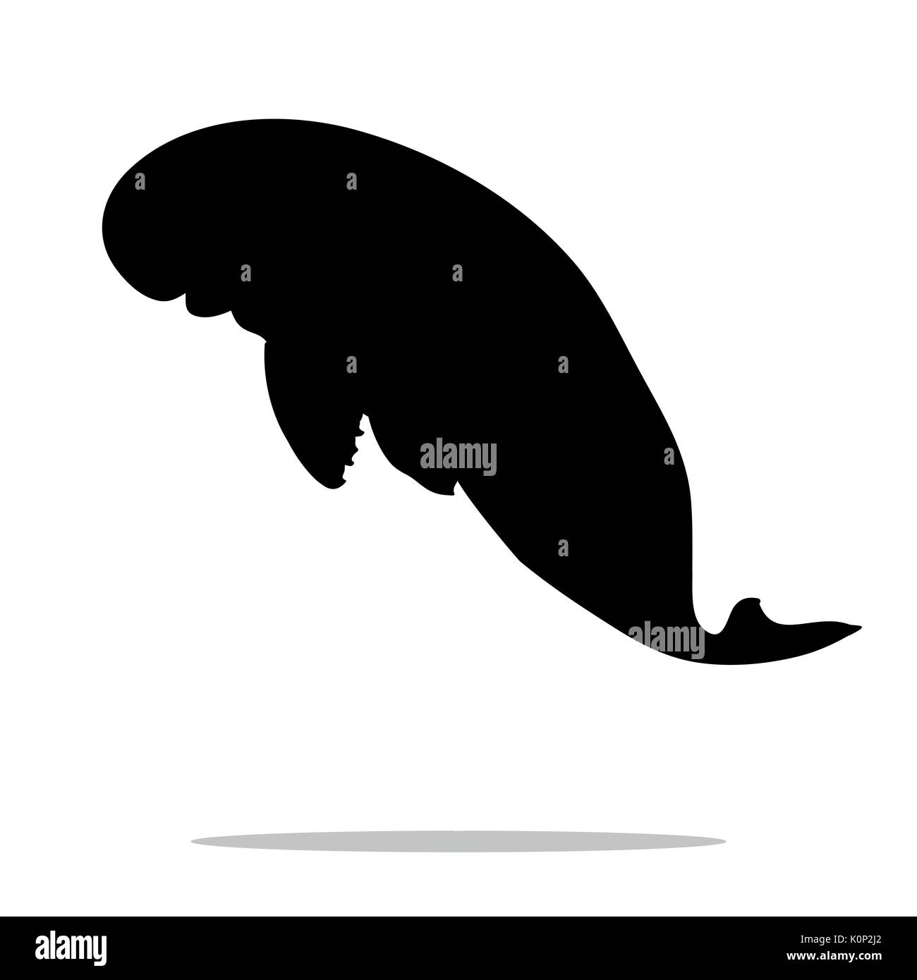 Lamantino mammifero mare silhouette nero animale. Vector Illustrator Illustrazione Vettoriale