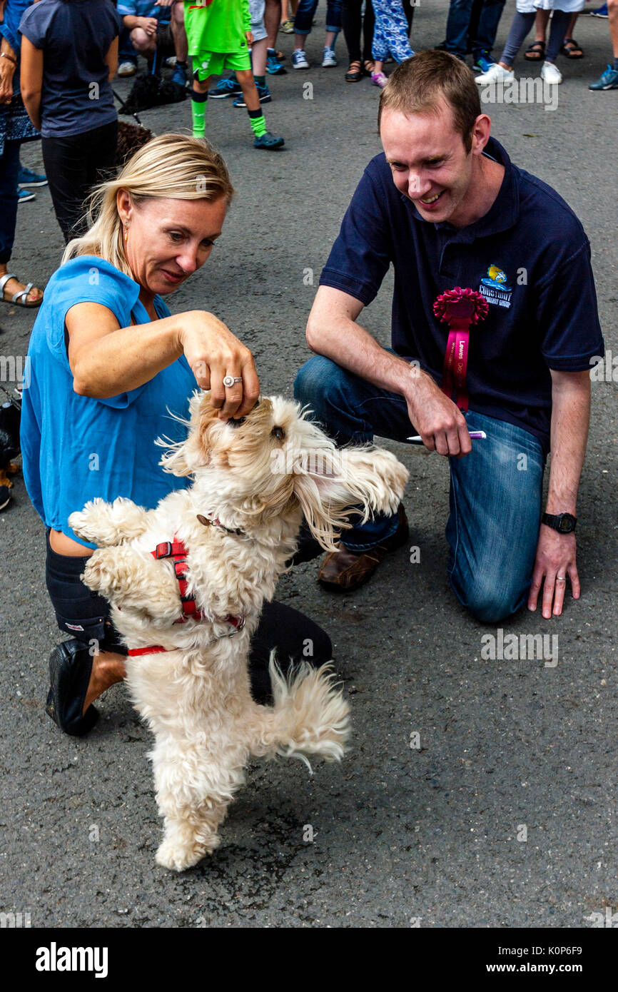 Un giudice maschio guarda a un cane di eseguire trucchi durante l annuale South Street la giornata dello sport e Dog Show, Lewes, East Sussex, Regno Unito Foto Stock