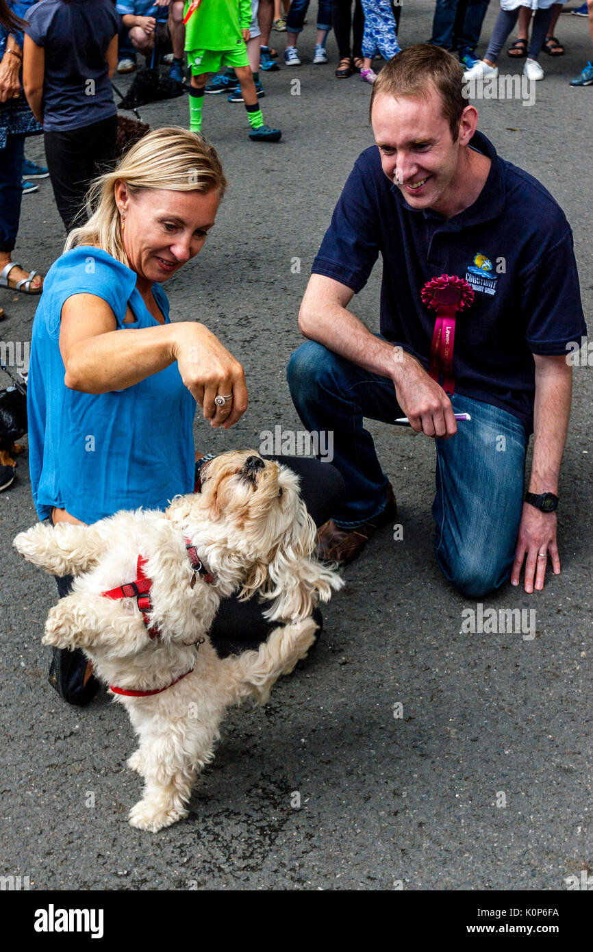 Un giudice maschio guarda a un cane di eseguire trucchi durante l annuale South Street la giornata dello sport e Dog Show, Lewes, East Sussex, Regno Unito Foto Stock