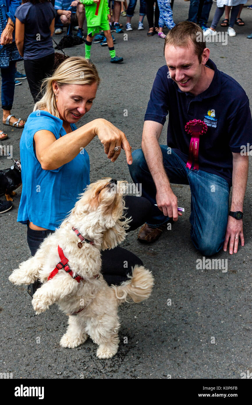 Un giudice maschio guarda a un cane di eseguire trucchi durante l annuale South Street la giornata dello sport e Dog Show, Lewes, East Sussex, Regno Unito Foto Stock