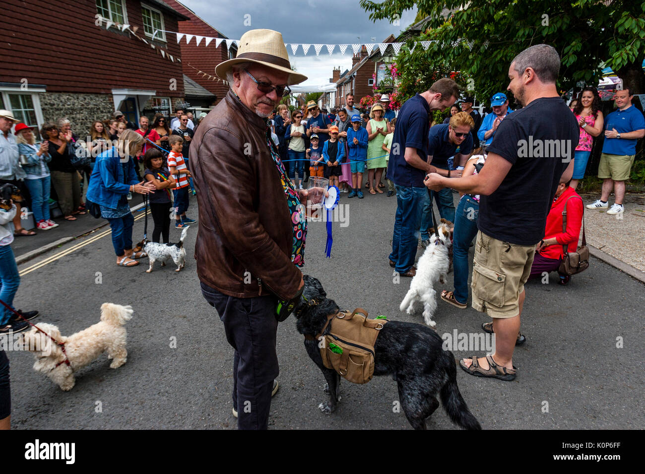 Cani che sono giudicati in occasione dell'annuale South Street la giornata dello sport e Dog Show, Lewes, East Sussex, Regno Unito Foto Stock