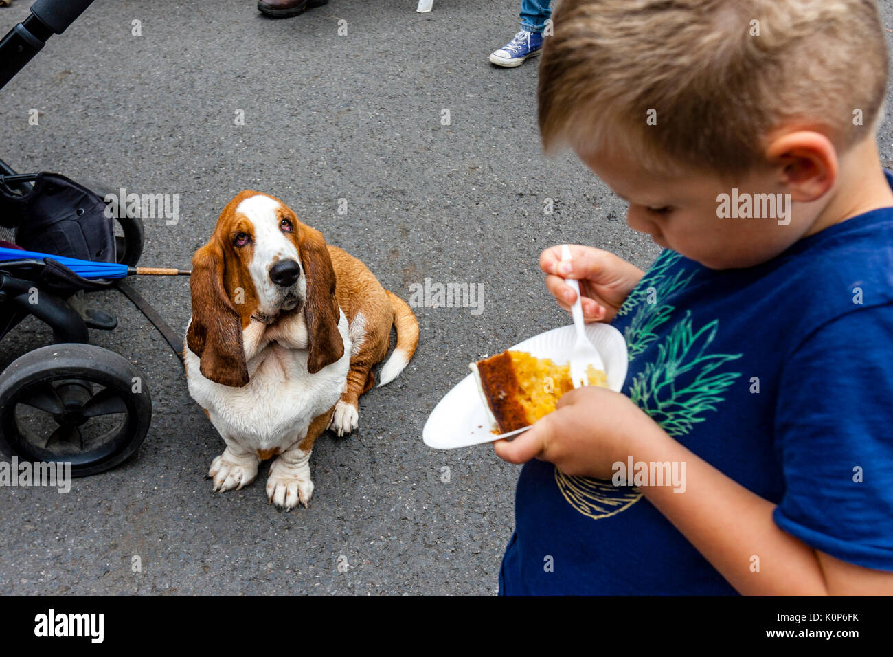 Un cane guarda un ragazzo di mangiare un pezzo di torta all'annuale South Street la giornata dello sport e Dog Show, Lewes, East Sussex, Regno Unito Foto Stock