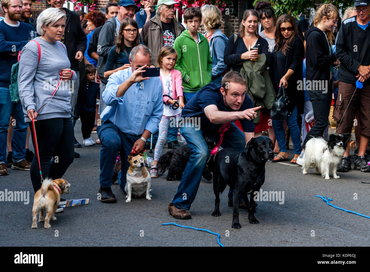 I cani di competere in un Dog Show All'annuale South Street la giornata dello sport e Dog Show, Lewes, East Sussex, Regno Unito Foto Stock