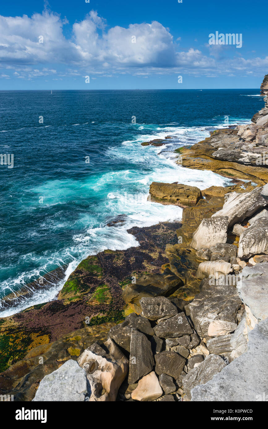 Robusto paesaggi costieri a Watsons, Sydney, Australia. Foto Stock