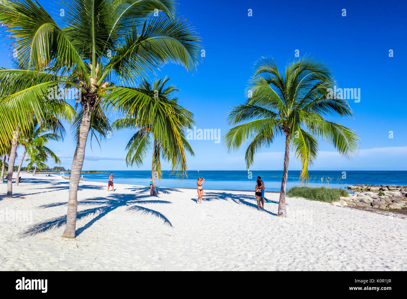 Le palme e la gente sulla sabbiosa spiaggia Smathers sull'Oceano Atlantico in Key West Florida su un cielo blu giorno di estate Foto Stock