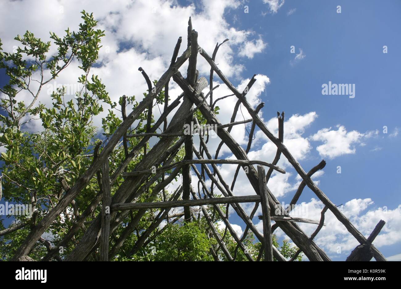 Resti di un'antica struttura in legno 2 Foto Stock
