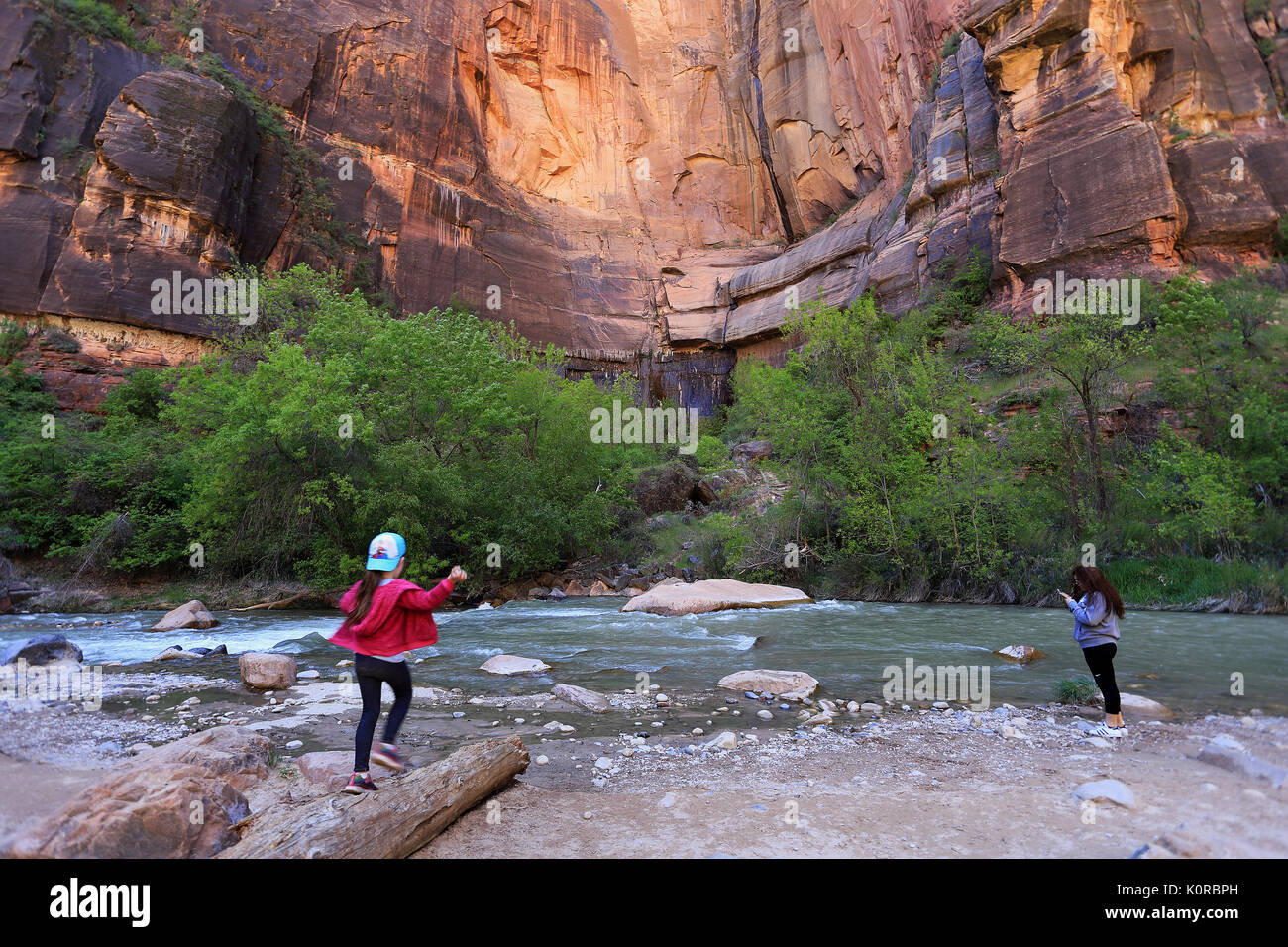 Fiume vergine Zion National Park nello Utah Stati Uniti d'America Foto Stock