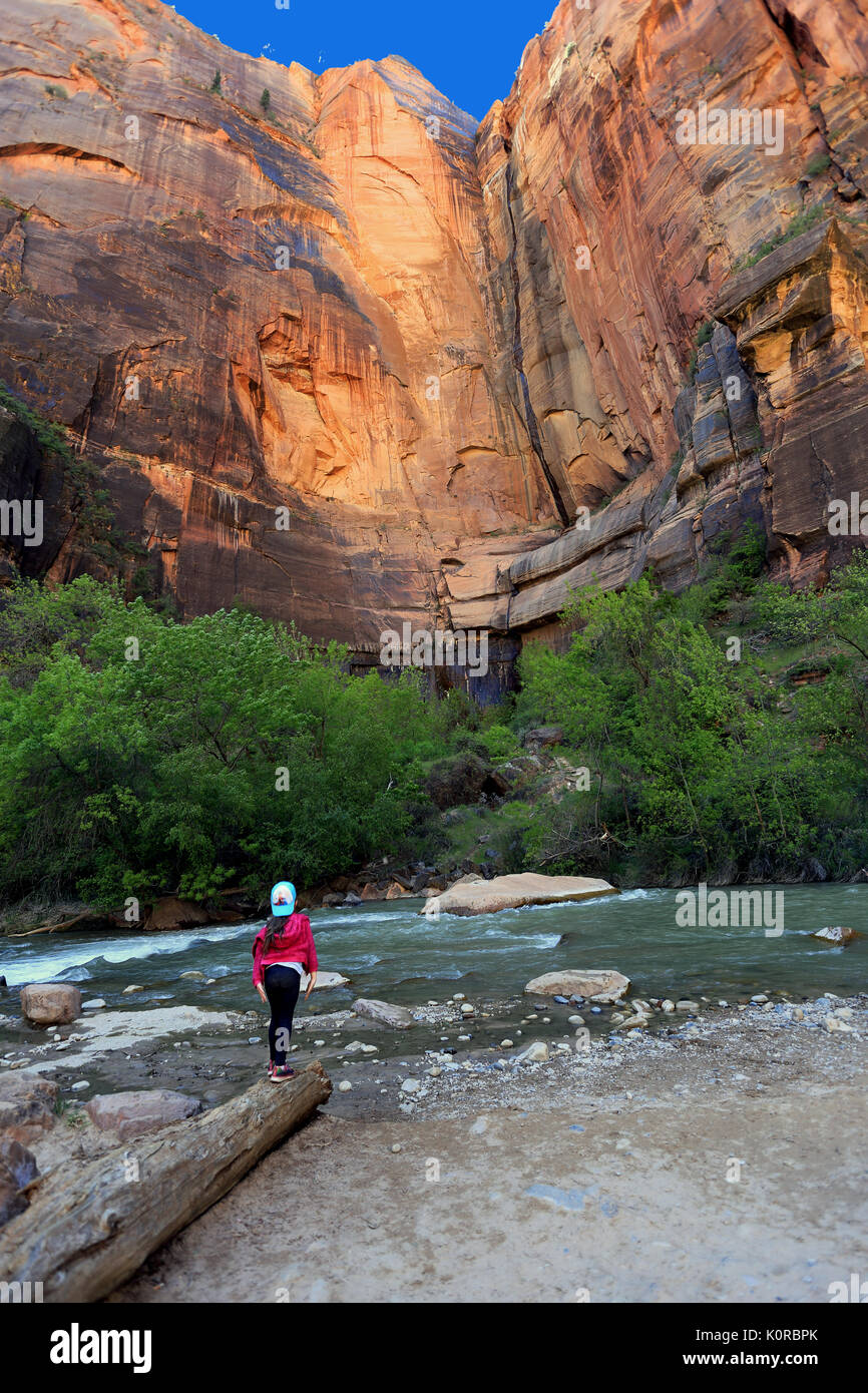 Fiume vergine Zion National Park nello Utah Stati Uniti d'America Foto Stock