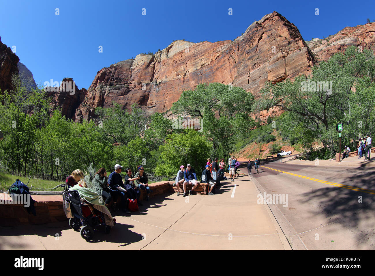 Zion National Park nello Utah Stati Uniti d'America Foto Stock