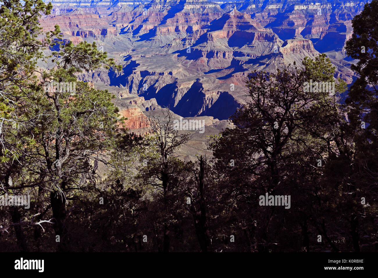 Parco Nazionale del Grand Canyon Arizona USA Foto Stock