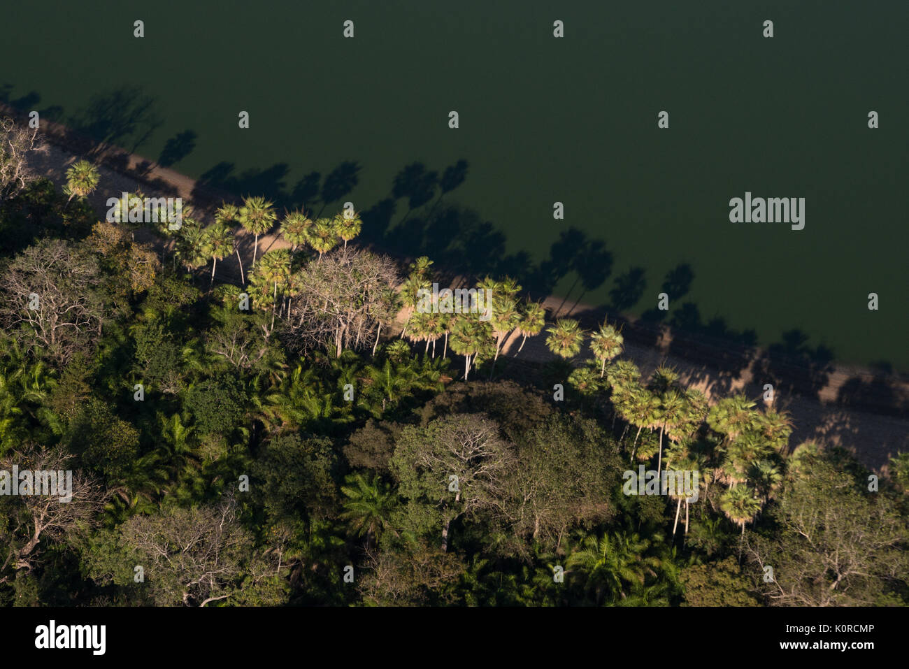 Acqua salata laghi al Nhecolandia regione del sud del Pantanal Foto Stock