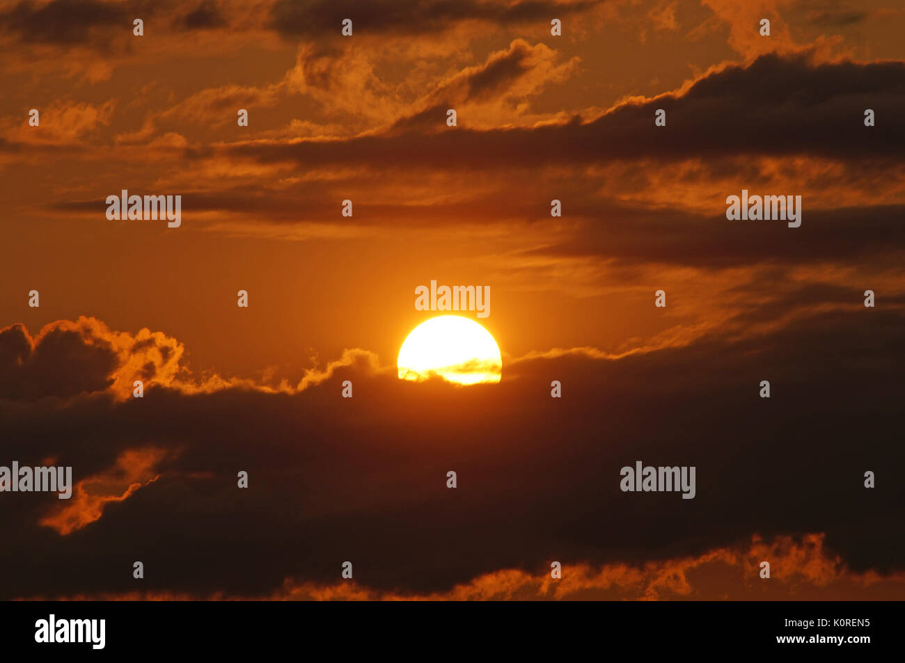 Sunrise nel sud della Francia (luce della Provenza) Foto Stock