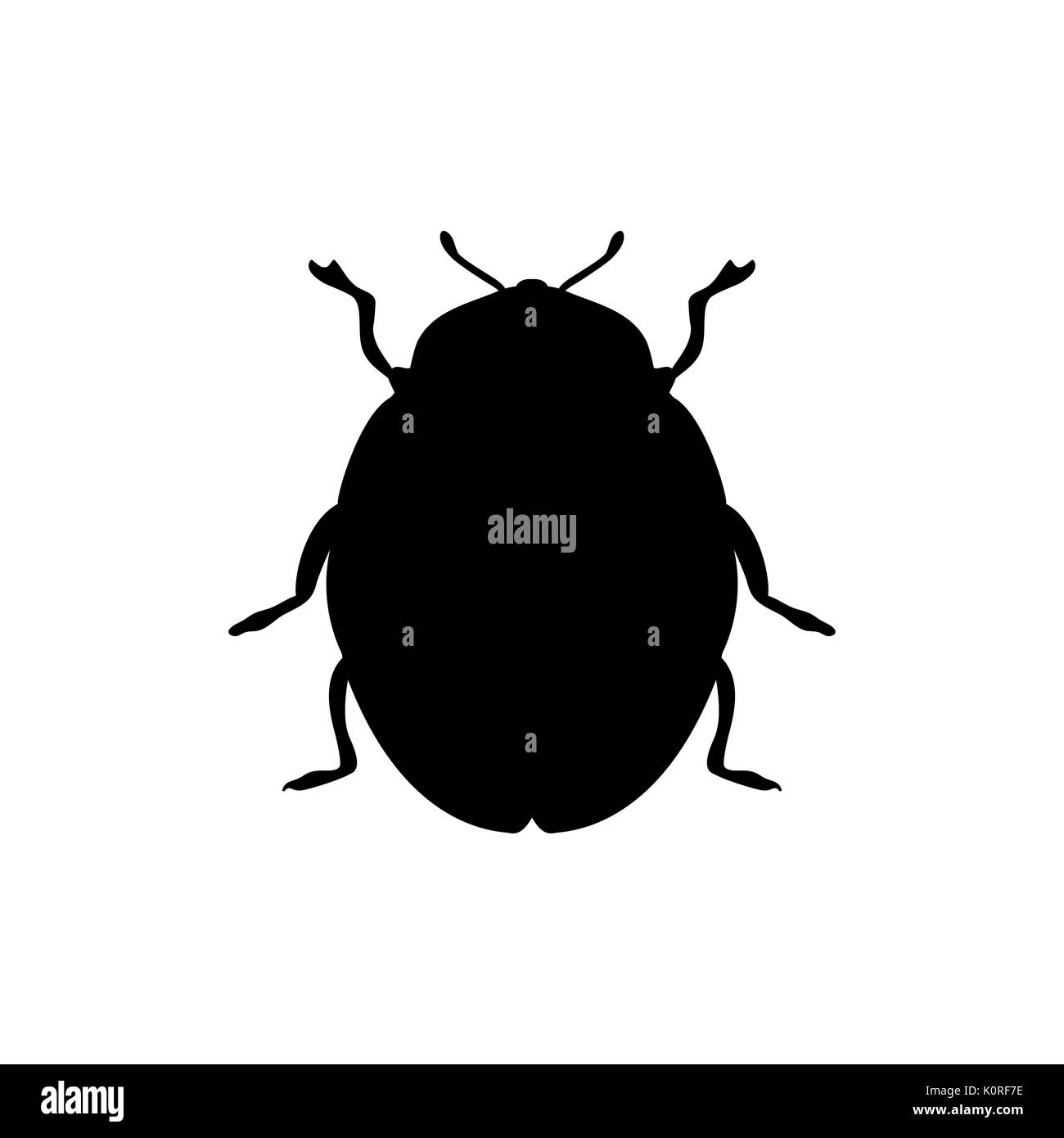 Beetle insetto silhouette nero animale. Vector Illustrator. Illustrazione Vettoriale