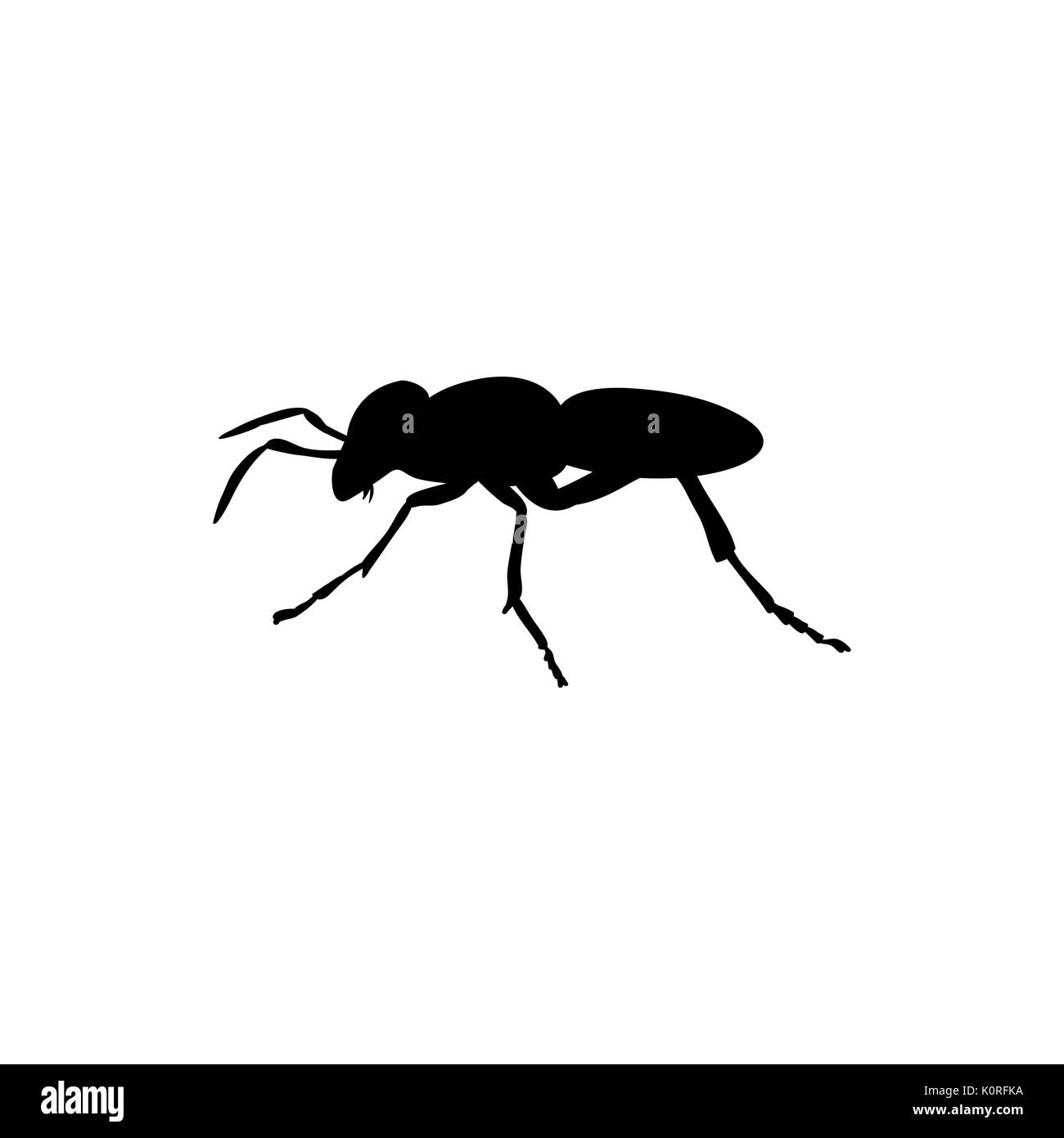 Ant insetto silhouette nero animale. Vector Illustrator. Illustrazione Vettoriale