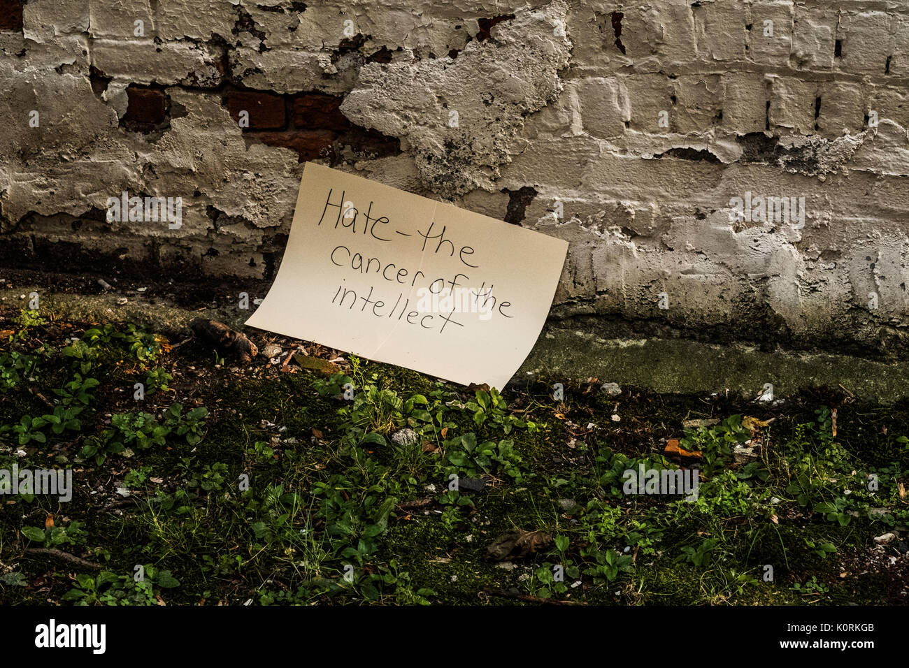 Segno che protestavano i recenti disordini razziali e commenti presidenziale dopo un anti-odio protesta in Middletown NY Foto Stock