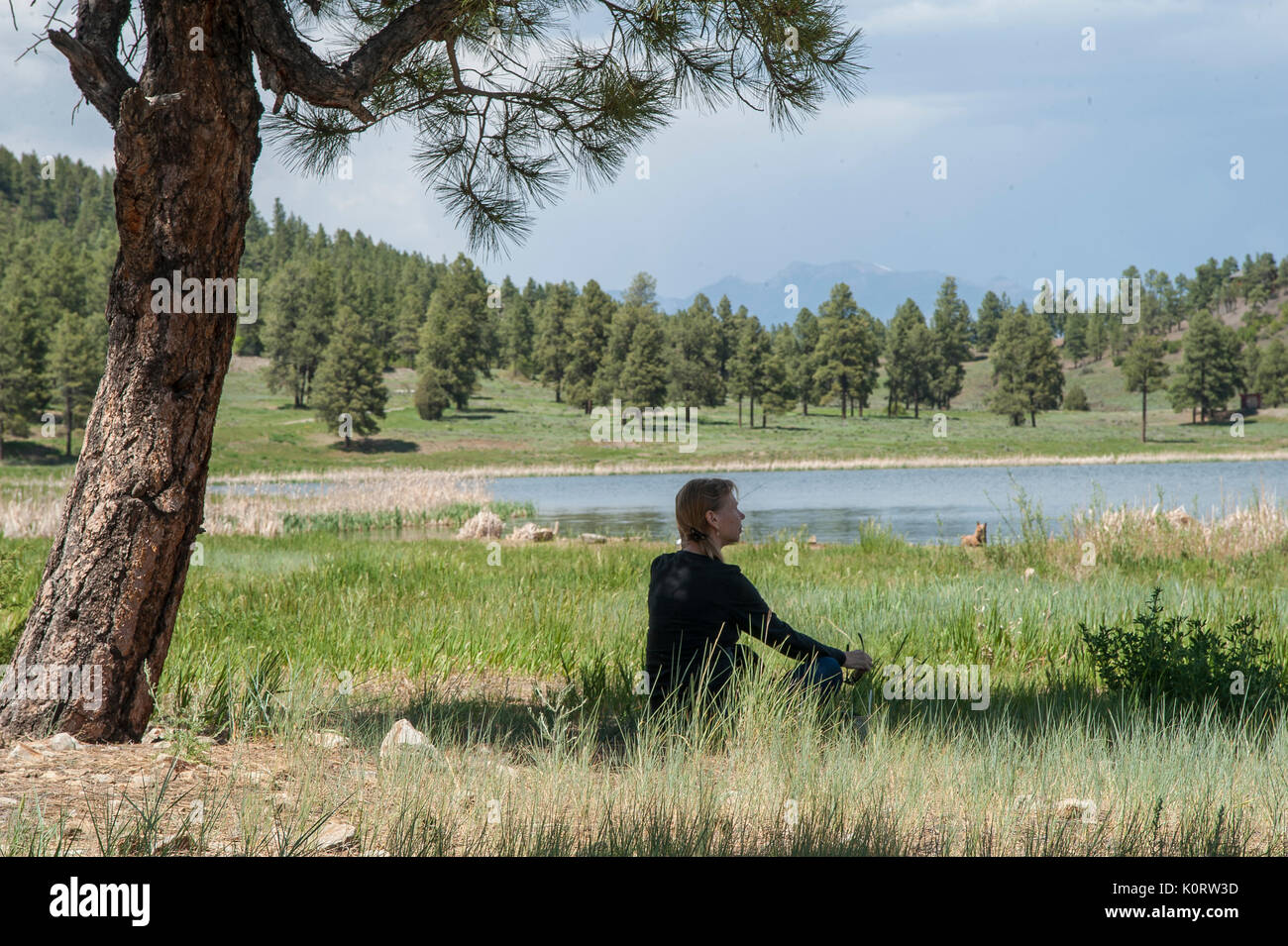 Donna matura seduta da scenic lago di montagna Foto Stock