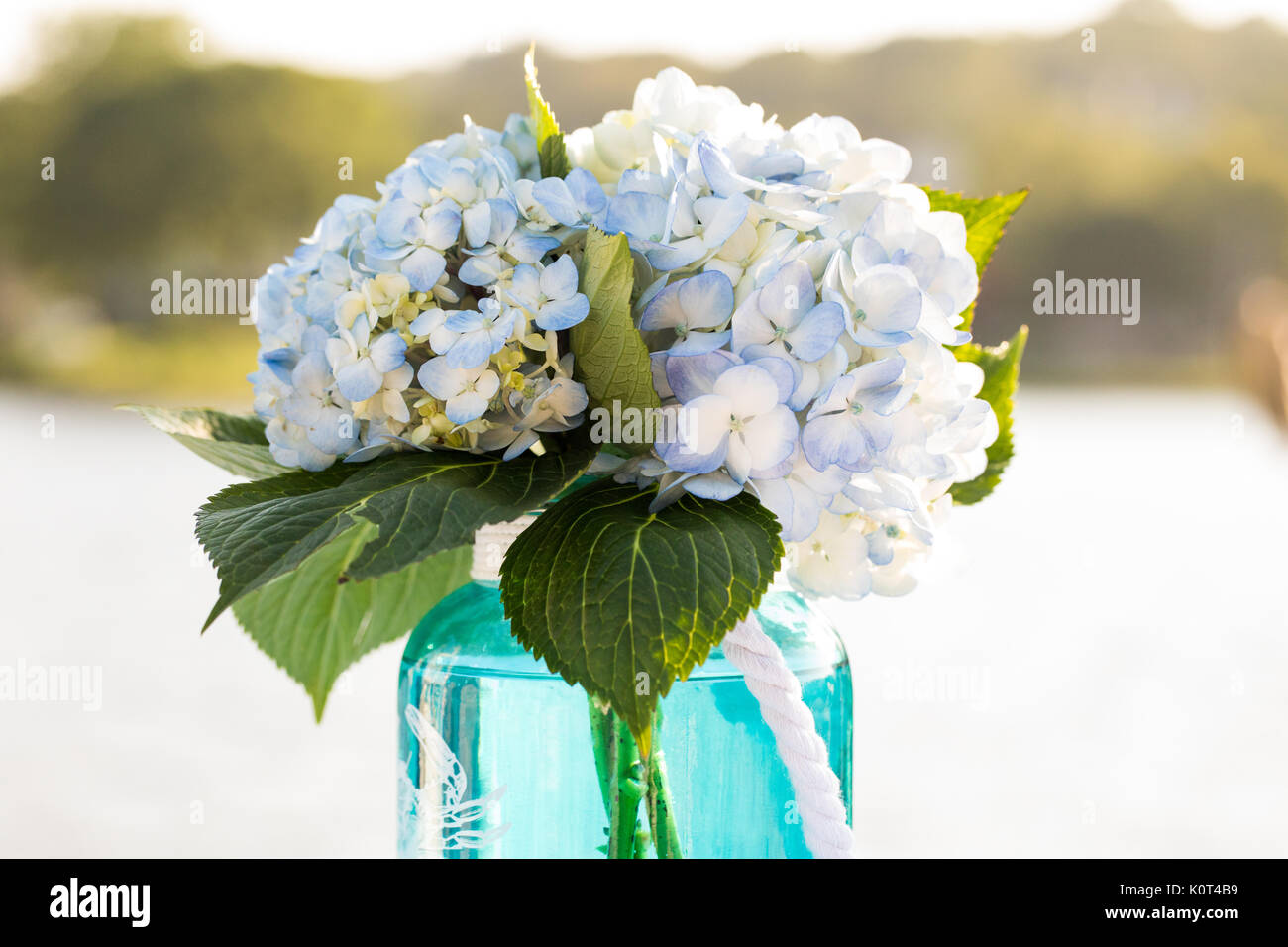 fiori Foto Stock