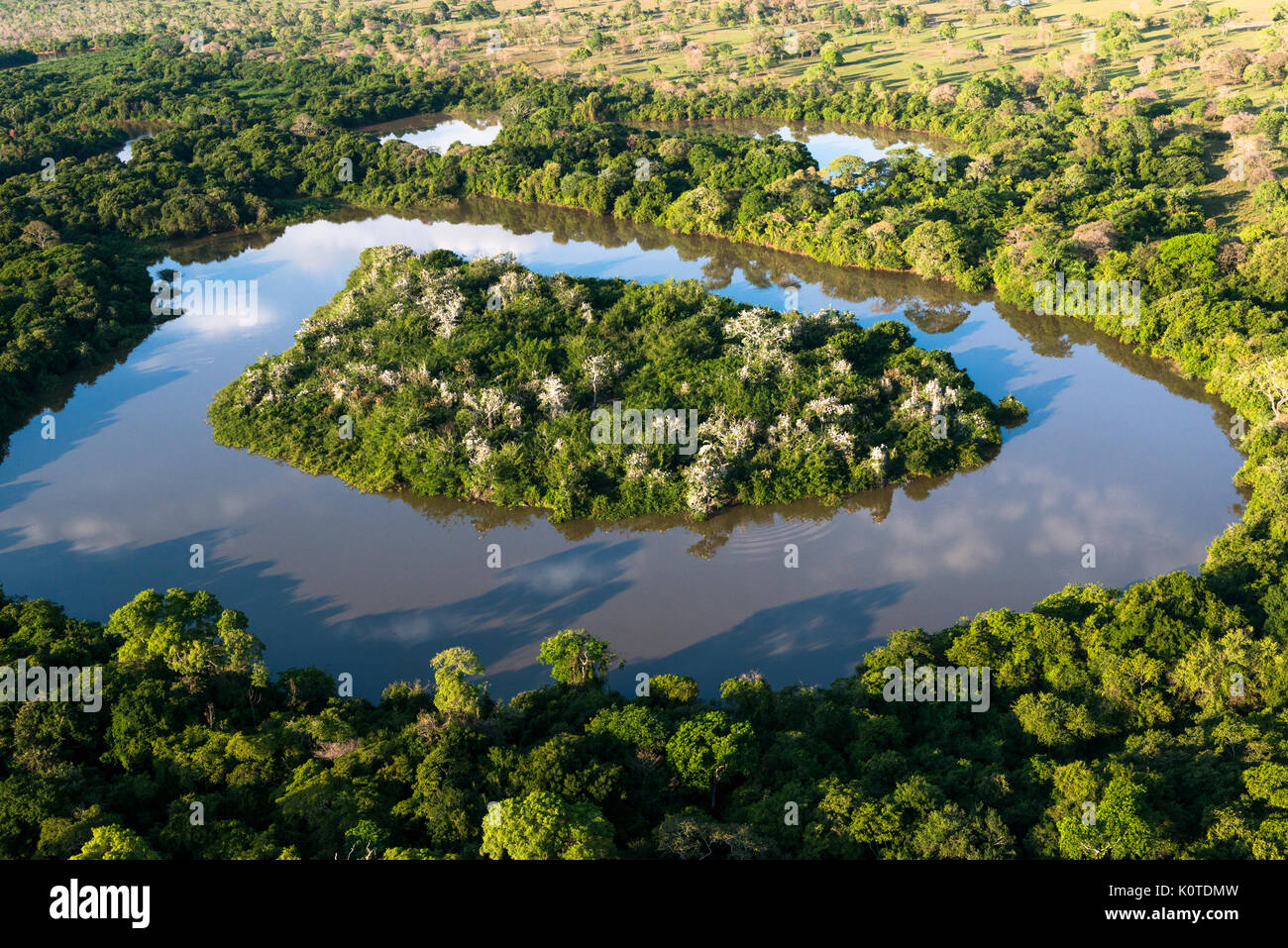 Un'isola su una baia del Pantanal che serve come posatoio per uccelli acquatici Foto Stock