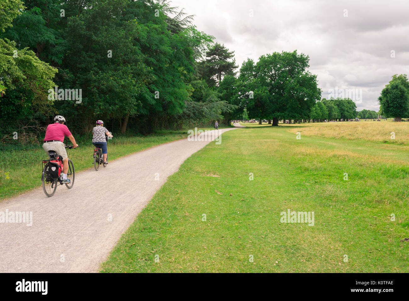 Richmond, London, Regno Unito - Luglio 2017: due persone in bicicletta lungo un percorso nel Bushy Park, Richmond, Londra. Foto Stock