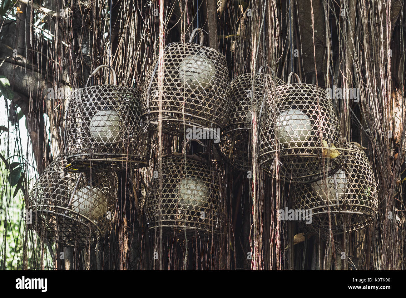 Sacco di vintage lampade in legno sul grande albero esterno in Bali. Stile asiatico Foto Stock
