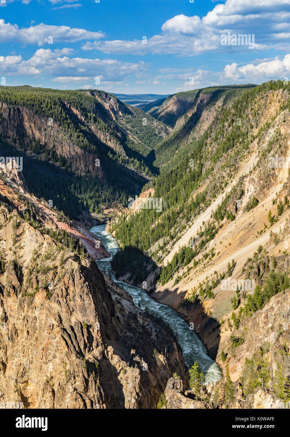 Pareti boscose della parte inferiore del Grand Canyon di Yellowstone nel Parco Nazionale di Yellowstone, Wyoming Foto Stock