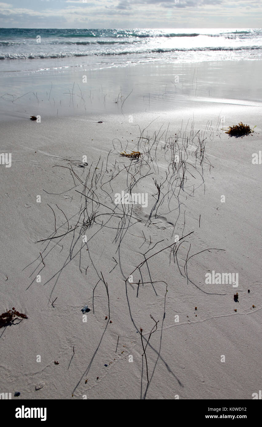 Costa turchese Australia occidentale Foto Stock