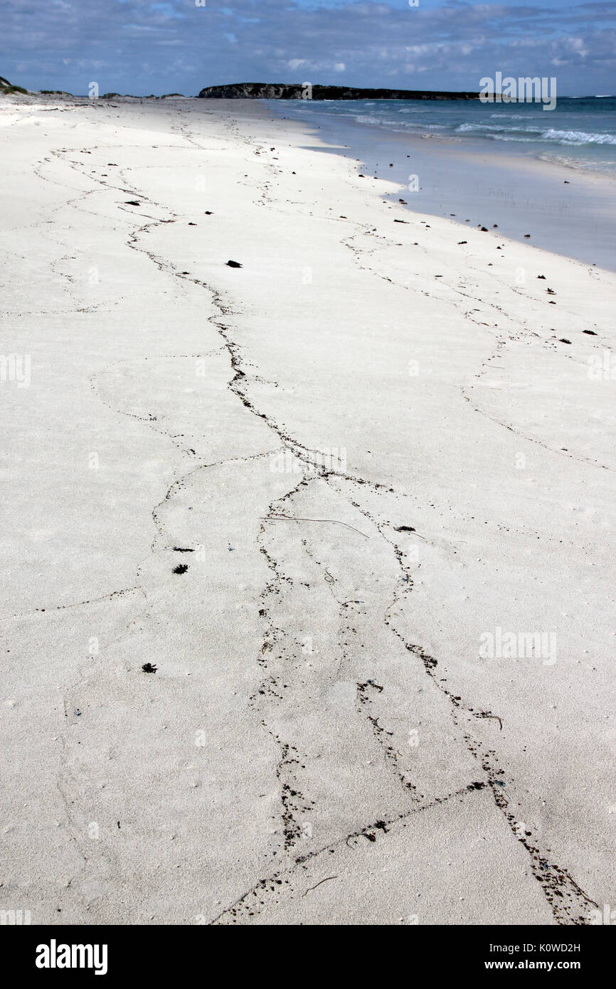 Costa turchese Australia occidentale Foto Stock