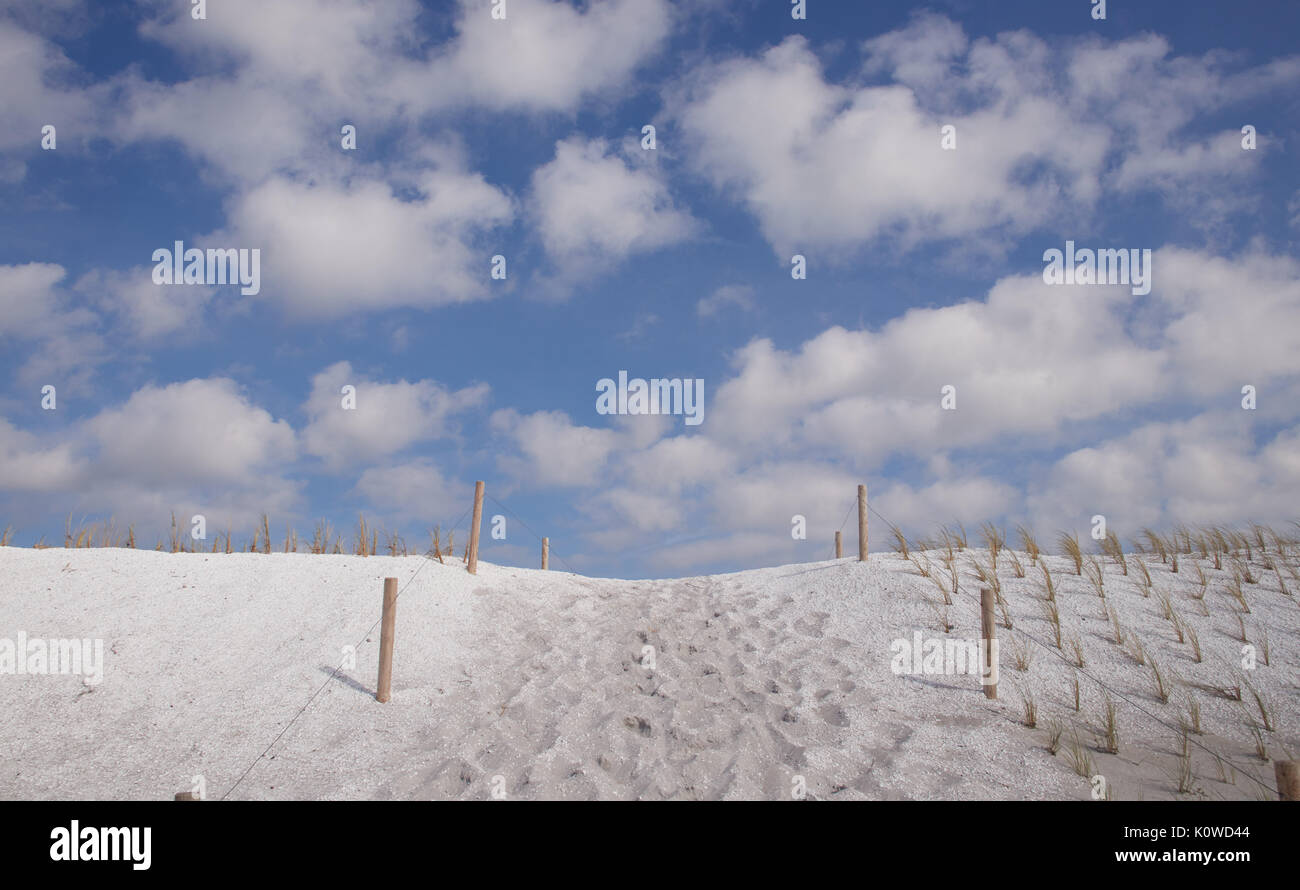 Dune di sabbia di cozze, attraversando e piantando con spiaggia oat (ammophila), penisola Fischland-Darß-Zingst, parco nazionale Foto Stock