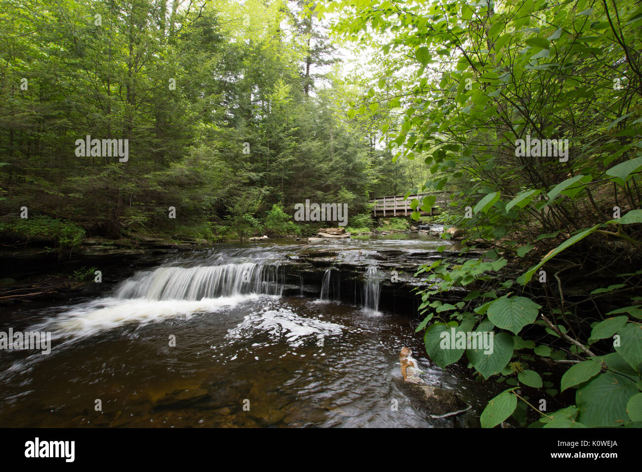 New Scenic 5 posti in cascata Ricketts Glen State Park in Poconos in Pennsylvania Foto Stock