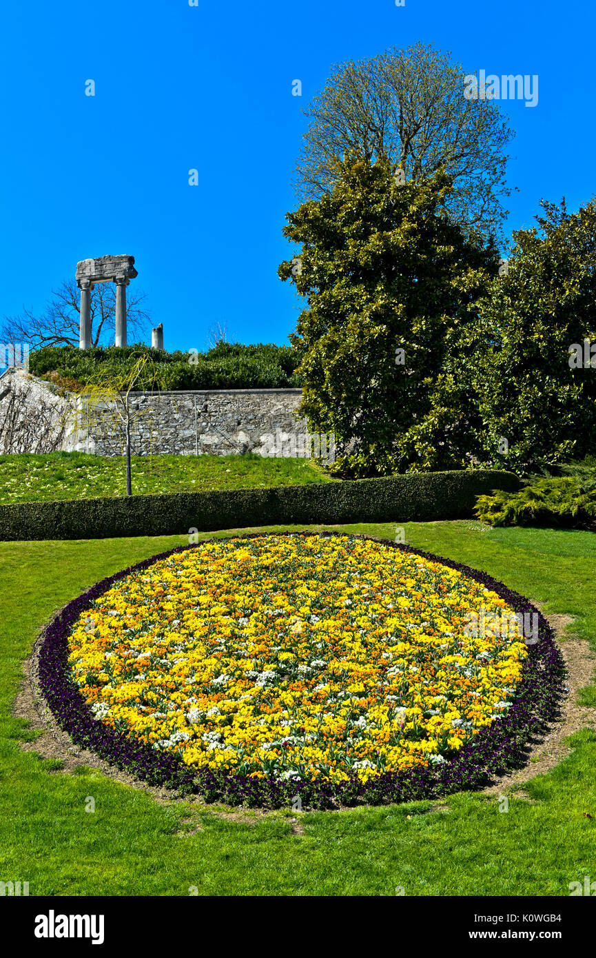 Medaglione di fiori di primavera nel parco, colonne romane dietro, Nyon, Canton Vaud, Svizzera Foto Stock