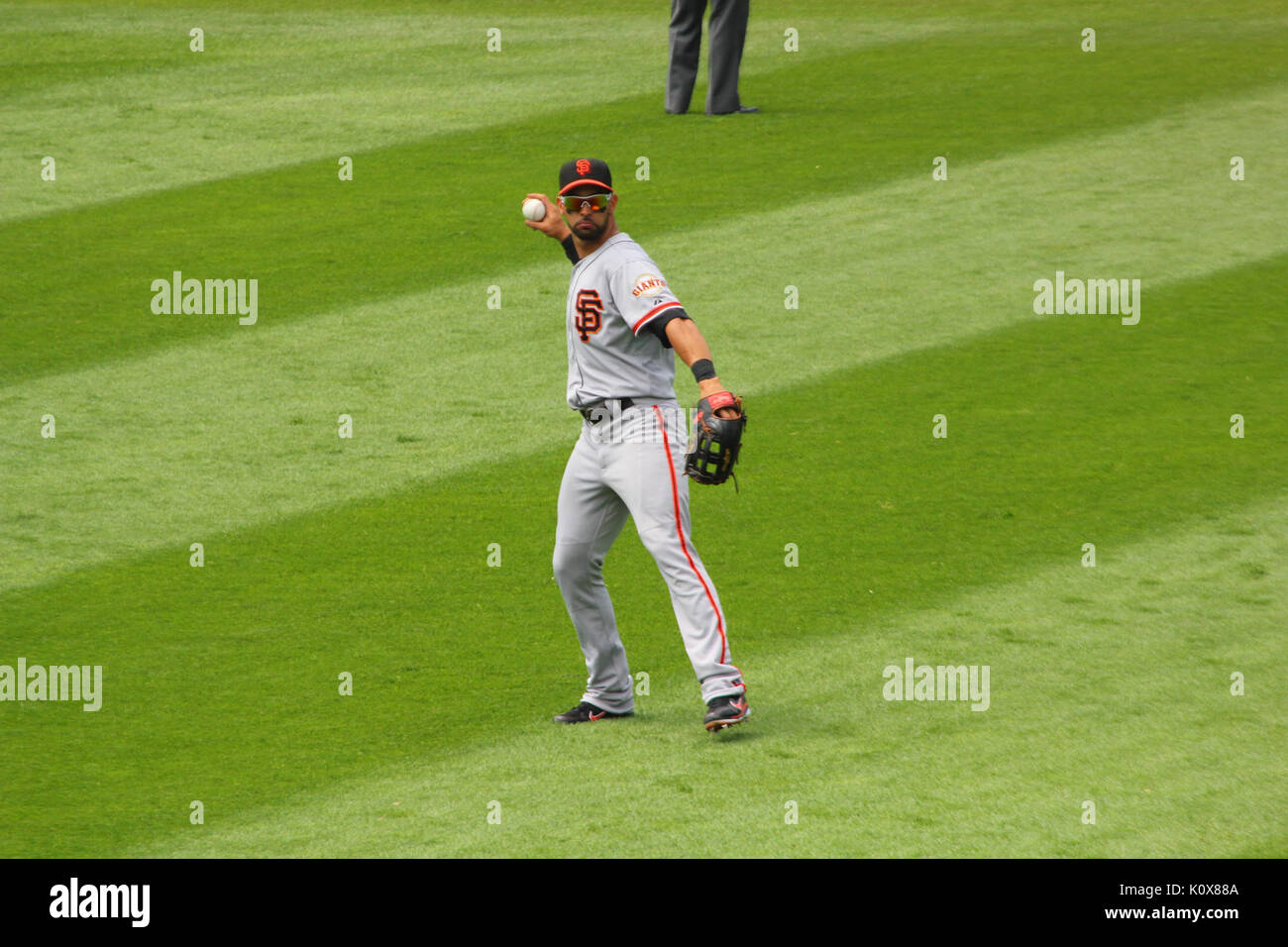 Angelo pagana, MLB giocatore di baseball per San Francisco Giants 01 Foto Stock