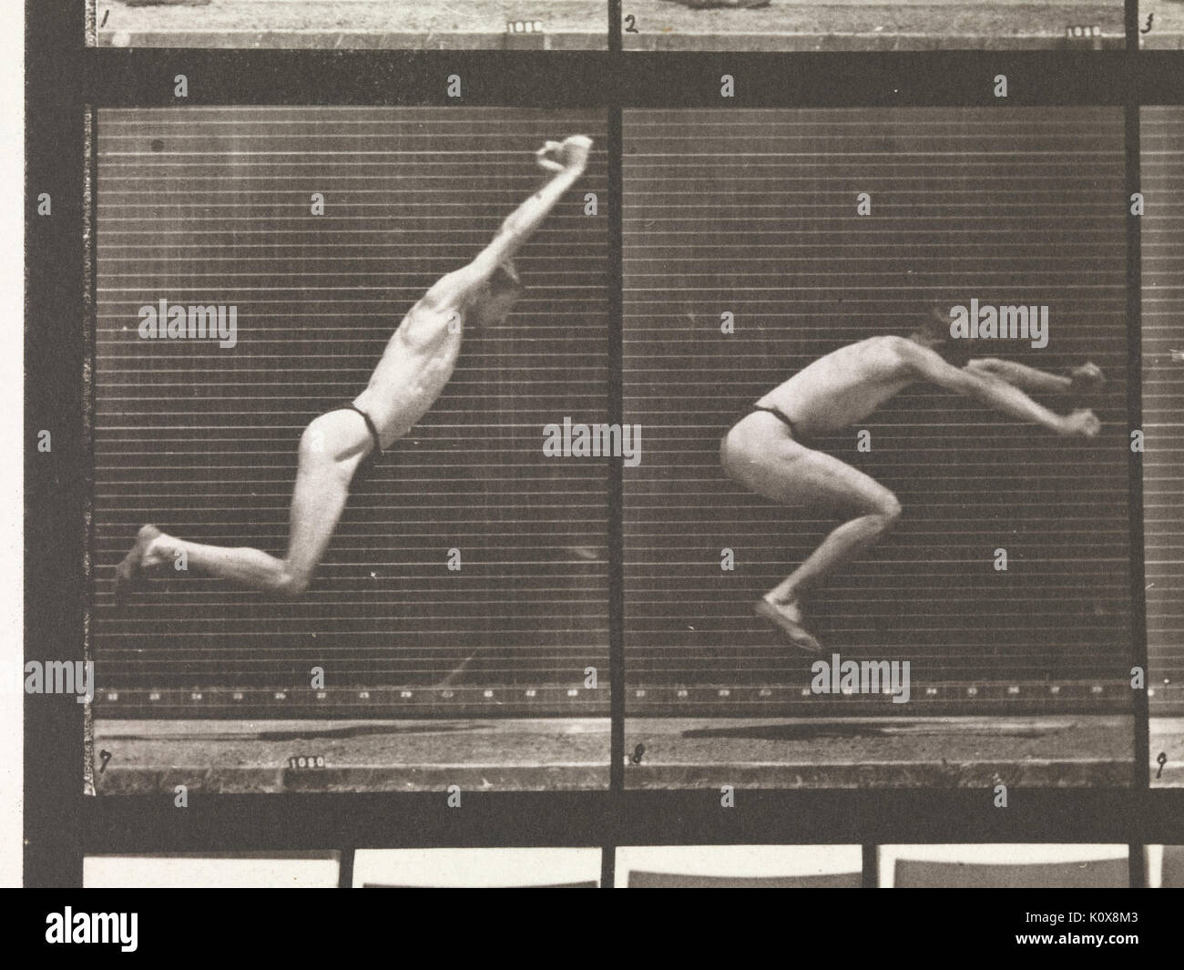 Locomozione animale. Un elettro Indagine fotografica delle fasi consecutive dei movimenti degli animali. Ha iniziato 1872 completato 1885. Volume V, Man (bacino panno) INCONTRATO DP275120 Foto Stock