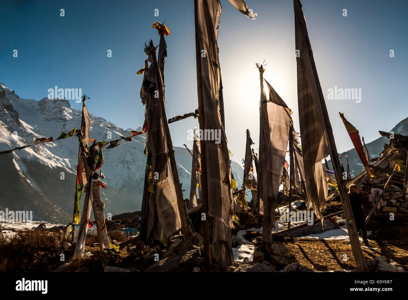 Bandiere di preghiera sul terremoto ha distrutto tempio a Kyamjin Gumba, Langtang Valley, Rasuwa, Nepal Foto Stock