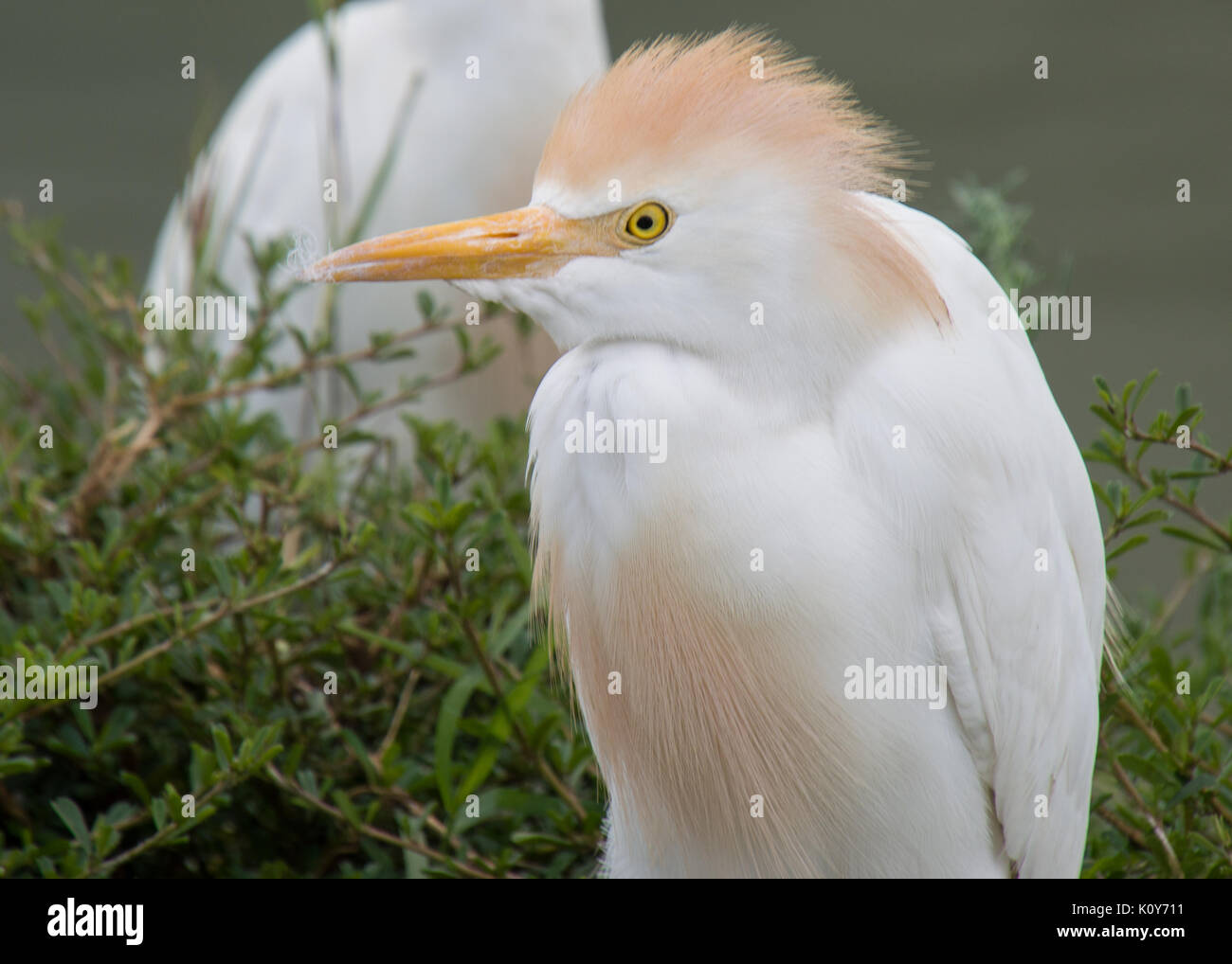 Insieme del sole Foto Stock