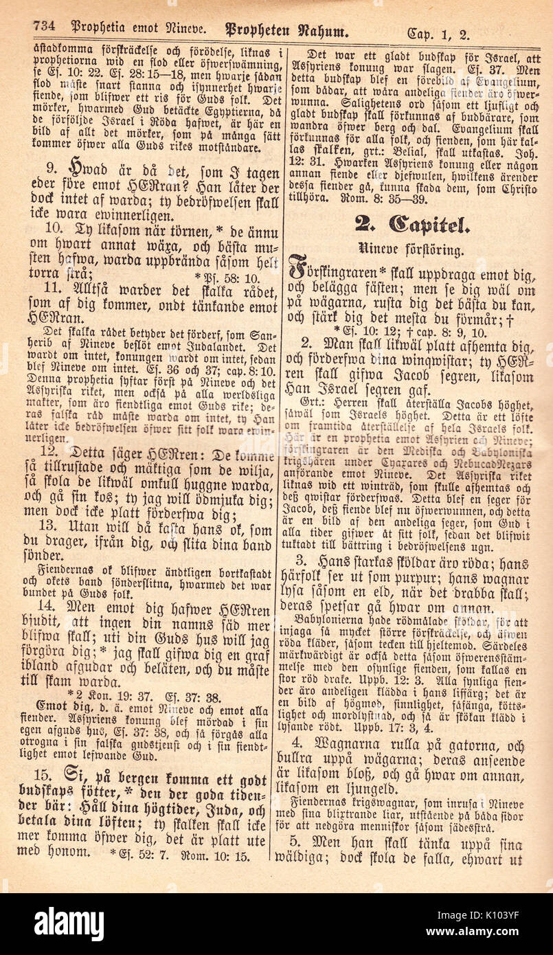 Biblia Fjellstedt II (1890) 738 Foto Stock