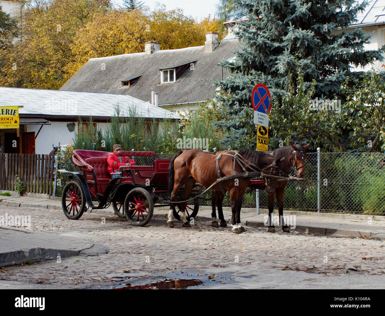Alians PL KazimierzDolny Jesien,02 10 2008,PA020037 Foto Stock