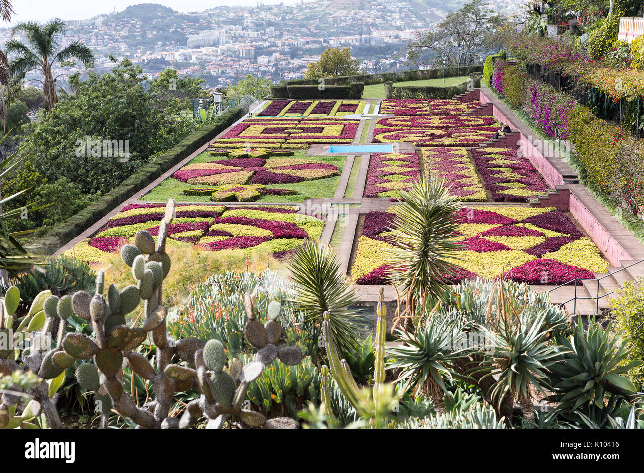 Giardino botanico di Funchal, Madeira. Foto Stock