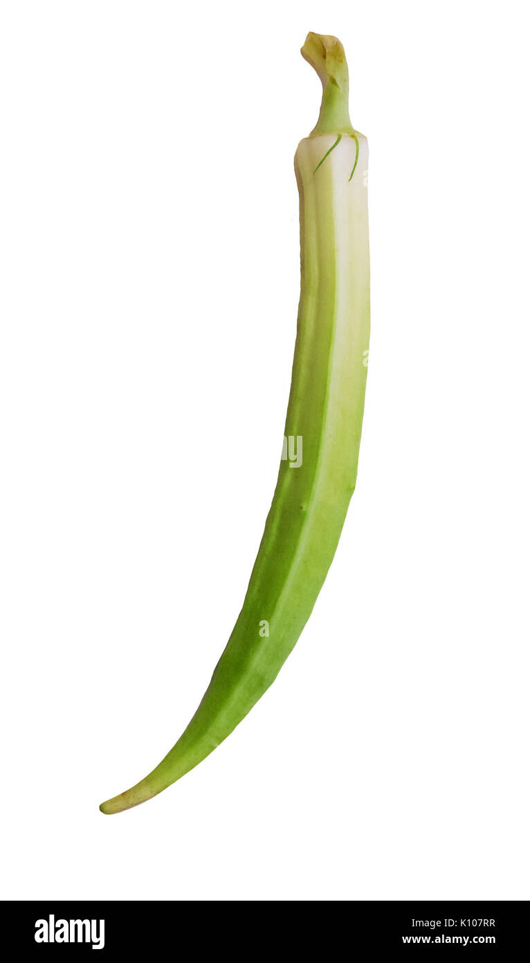 Abelmoschus esculentus nell isola di Margarita Foto Stock