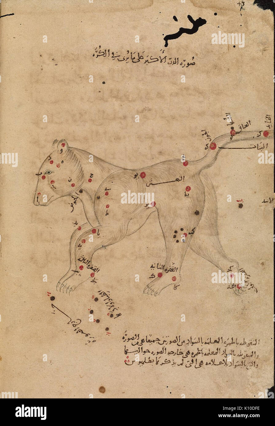 Al Sufi libro delle stelle fisse Orsa Maggiore (il grande orso) biblioteca Bodleian Marsh 144 Foto Stock