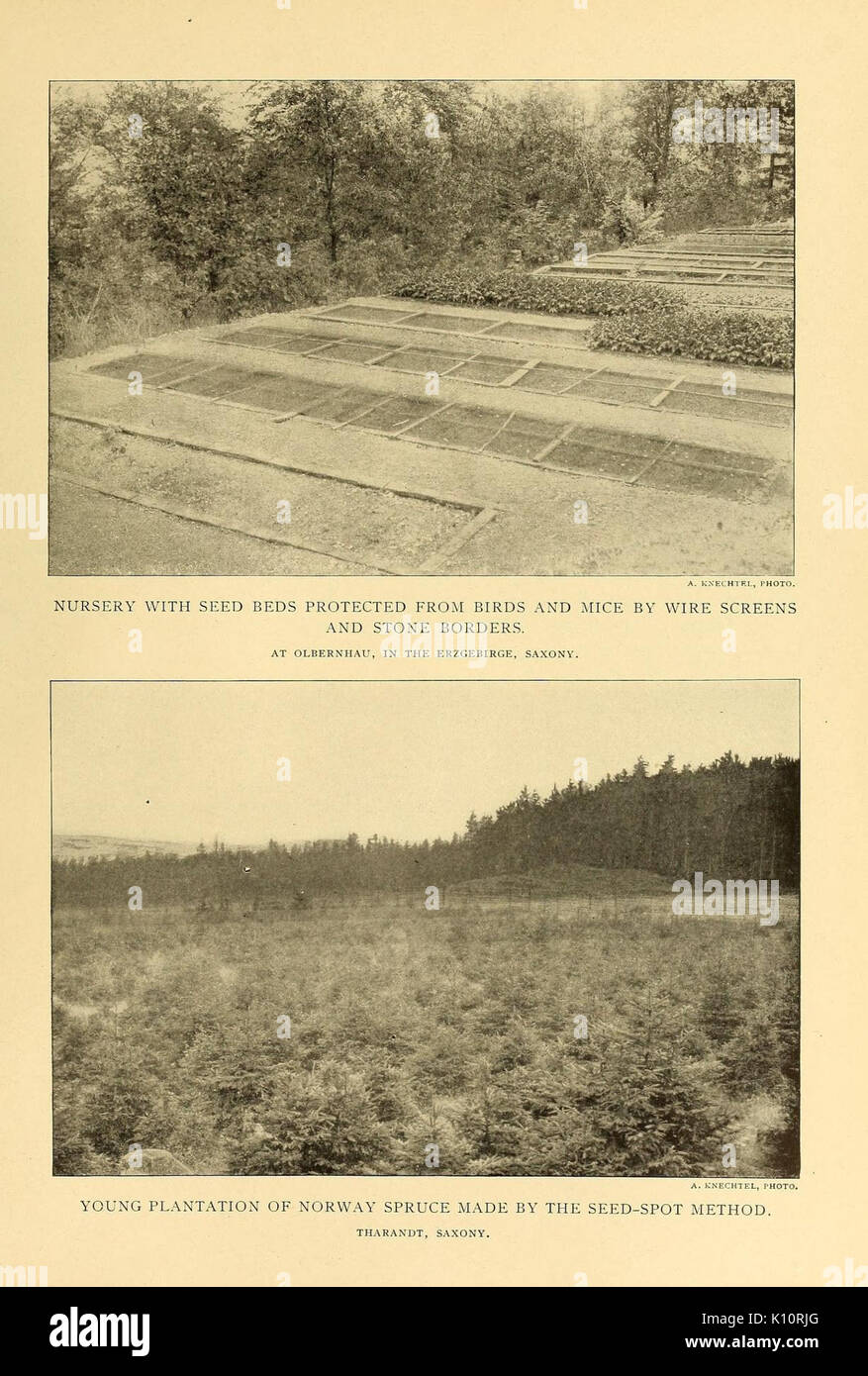 Relazione annuale (7506894374) Foto Stock