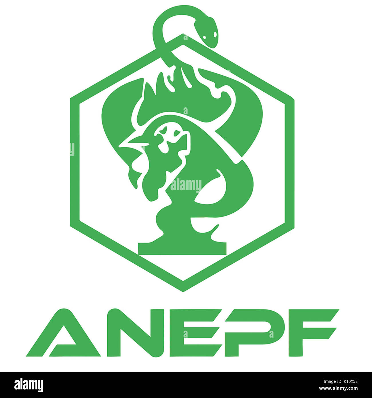 ANEPF Foto Stock