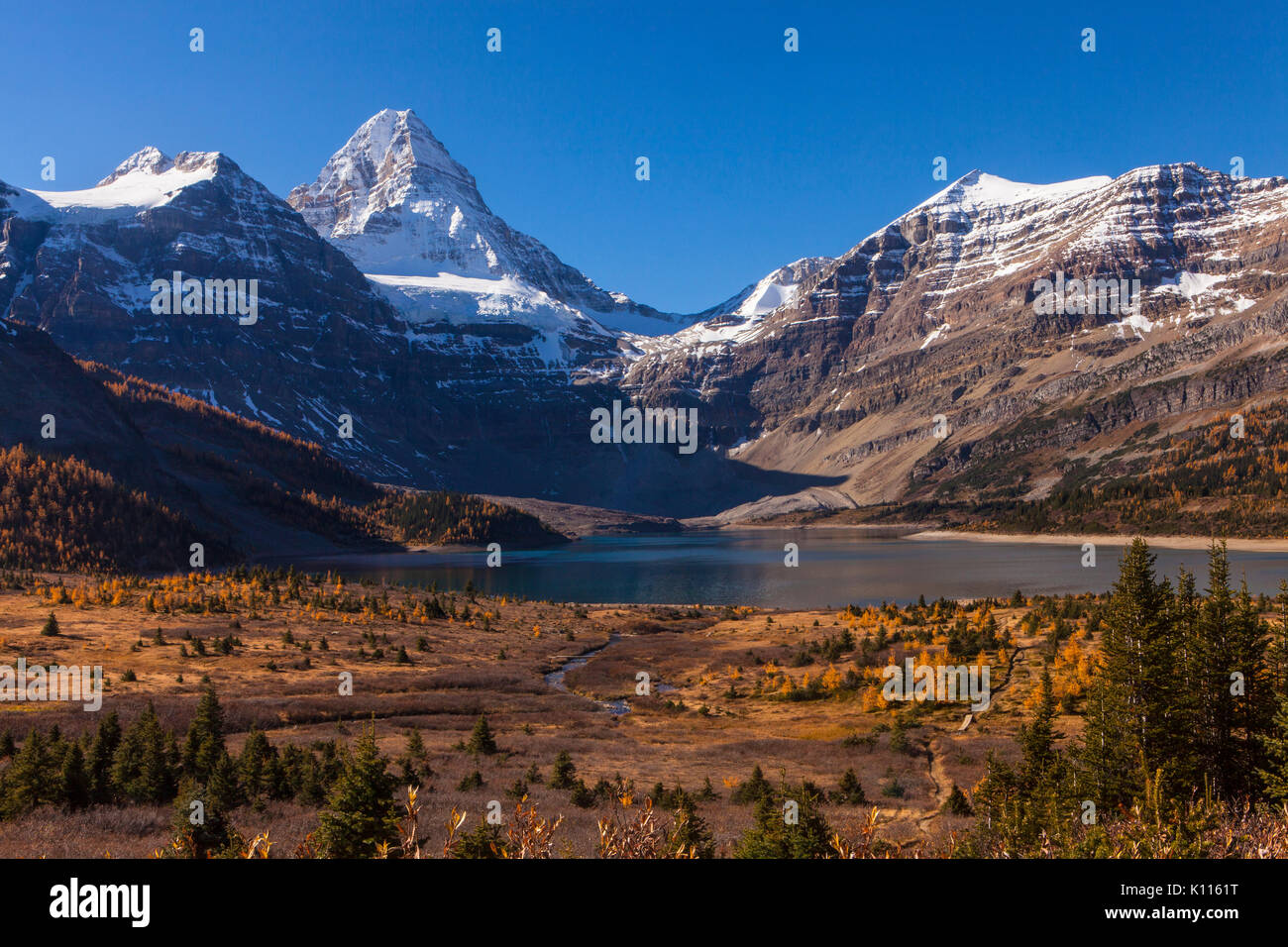 Il Monte Assiniboine dal lago di Magog in autunno, il Monte Assiniboine Provinicial Park, montagne rocciose, British Columbia, Canada. Foto Stock