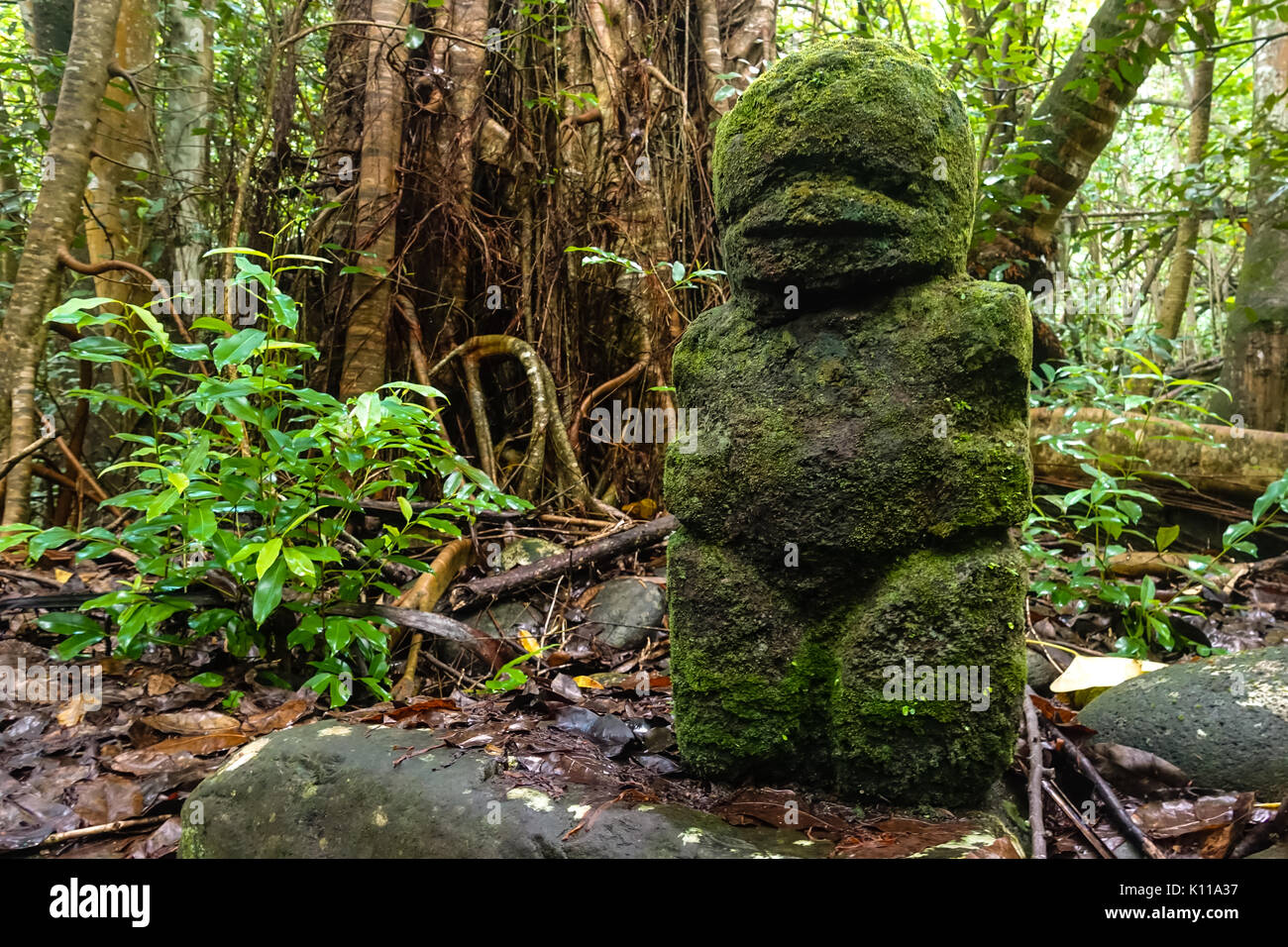 Tiki statua sull'escursione a Vaipo waterfal la cascata più grande in Polinesia al di fuori della Nuova Zelanda. Sull'isola di Nuku Hiva delle Marquesas Foto Stock